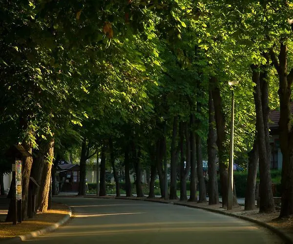 Bendeguz Bed & Breakfast